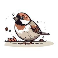 Sparrow. Hand drawn vector illustration. Isolated on white background.