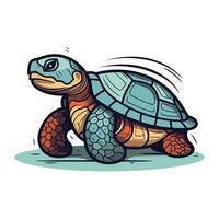 Cartoon turtle isolated on white background. Vector illustration of turtle.