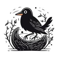 Cute black bird sitting in the nest. Vector illustration in cartoon style.
