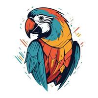 Colorful parrot vector illustration. Isolated on white background.