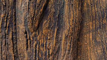 4k antal fot trä textur av de cement lättnad plåster på betong vägg video