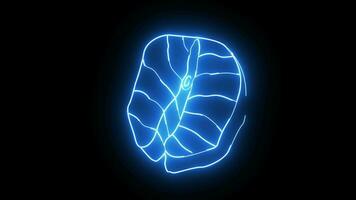 Animation of a salmon meat icon with a glowing neon effect video