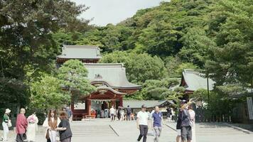 kamakura japan Maj 29 , 2023 tsurugaoka hachimangu är kamakura mest Viktig helgedom video