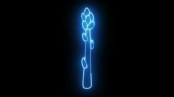 Animated asparagus stem icon with a glowing neon effect video