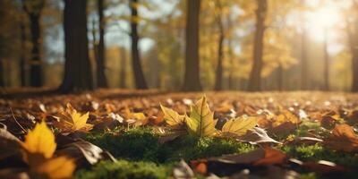 otoño temporada hojas planta escena ai generado foto