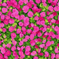 real flower background. background design. nature wallpaper background. AI generated images photo