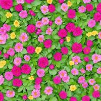 real flower background. background design. nature wallpaper background. AI generated images photo