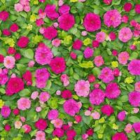 real flower background. background design. nature wallpaper background. AI generated images photo