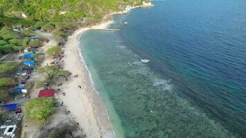 aereo Visualizza di persone bagnarsi nel il sole, nuoto, e giocando Giochi su il spiaggia. superiore Visualizza a partire dal fuco a spiaggia e azzurro mare video