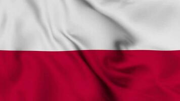 Polen golvend vlag realistisch animatie video