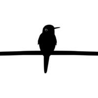 encaramado colibrí silueta, lata utilizar Arte ilustración, sitio web, logo gramo, pictograma o gráfico diseño elemento. vector ilustración