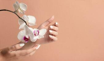 manos de un joven mujer con blanco largo uñas en un beige antecedentes con orquídea flores manicura foto