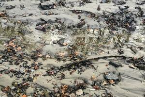 The bottom of the river after low tide, flooded remains of houses, bricks, dishes photo