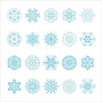 flower snowflake icon design, christmas or holiday snowflake vector