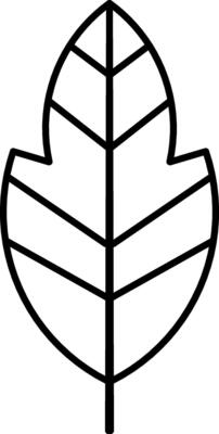 Silhouette of a leaf for logo