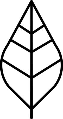 A decorative minimalist leaf made with lines