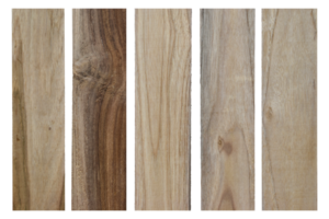 collection of various empty wood panel isolated on transparent background. PNG Format