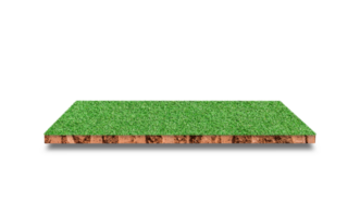 suelo redondo cruzar sección con verde césped campo aislado en transparente antecedentes. png