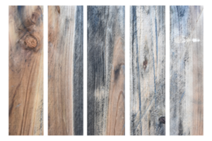 collection of various empty wood panel isolated on transparent background. PNG Format