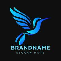 Vector Flying Hummingbird logo design with gradient colorful Style