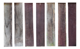 collezione di vario vuoto legna pannello isolato su trasparente sfondo. png formato