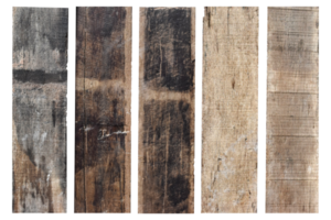 collection of various empty wood panel isolated on transparent background. PNG Format