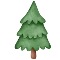 Navidad árbol acuarela elementos png
