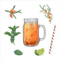 Sea buckthorn, mint, lime slice, straw, glass jar. Ingredients for refreshing or warming drink. Sandthorn, sallowthorn,, citrus, peppermint. Watercolor illustration for card design, stickers, menus vector