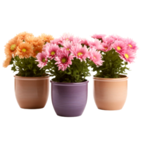 Flower Box Generative Ai png