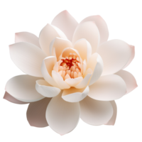 lotus bloem PNG water lelie bloem PNG water lelie PNG lotus PNG lotus bloem transparant achtergrond, ai generatief