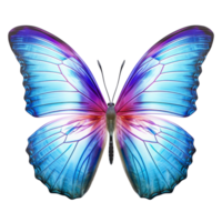 coloré papillon coloré transparent arrière-plan, ai génératif png