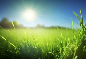 Beautiful meadow field with fresh grass and yellow dandelion flowers in nature against a blurry blue sky with clouds. Summer spring perfect natural landscape AI Generative photo