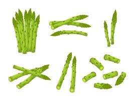 Cartoon Color Green Asparagus Icon Set. Vector