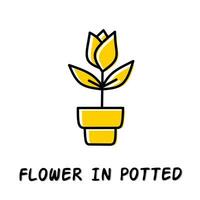 Flower in potted icon illustration. Yellow color illustration design. vector