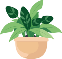 cute plant in pot png