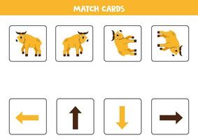 Left, right, up or down. Spatial orientation with cute golden takin. vector