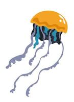 Jellyfish boneless animal floating in sea or ocean vector