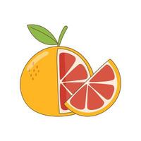 Grapefruit whole and a slice vector