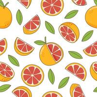 Grapefruit seamless pattern vector