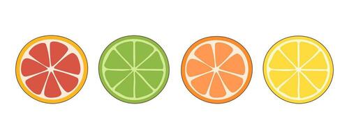 Set of citrus fruit slices vector