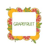 Grapefruit background sticker vector