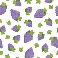 Grapes seamless pattern vector