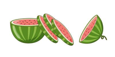 Watermelon cutted on white background vector