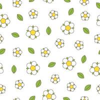 Flowers seamless pattern vector