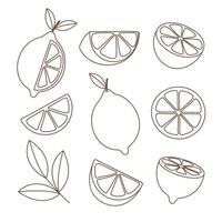 Lemon set outline on white background vector