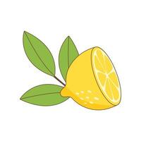 A half of lemon vector