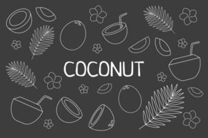 Coconut set outline on black background vector