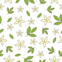 Flowers seamless pattern vector