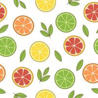 Citrus seamless pattern vector