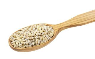 Pearl barley groats in wooden spoon isolated on white background photo